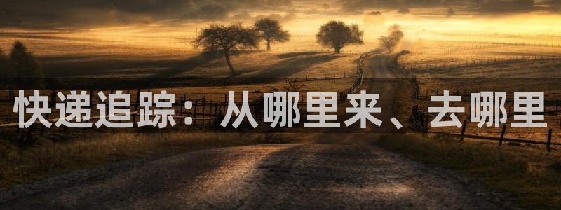 狗子28自行车图片：快递追踪：从哪里