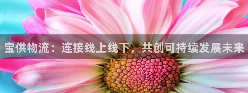 狗子28官方网站预测：宝供物流：连接