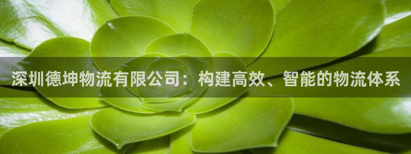狗子28反水：深圳德坤物流有限公司：