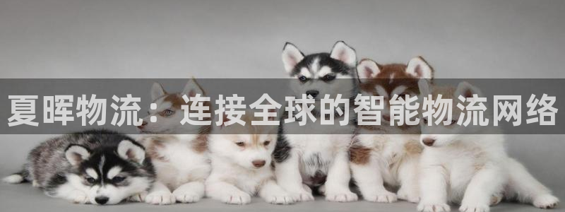 狗子28黑款：夏晖物流：连接全球的智能物流网络