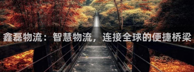 狗子28注册上限是啥意思：鑫磊物流：