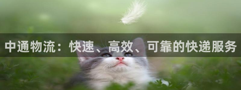 狗子28登录不上咋回事：中通物流：快