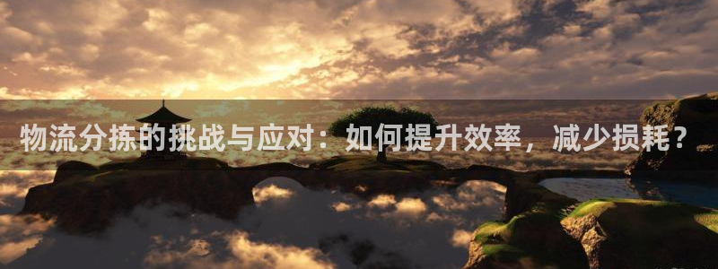 狗子28怎么注册：物流分拣的挑战与应