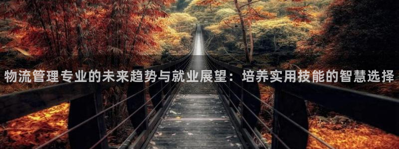 狗子28加拿大官网