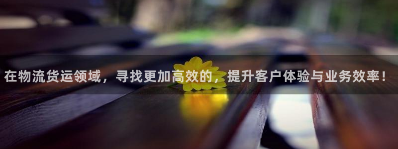狗子28反水怎么算