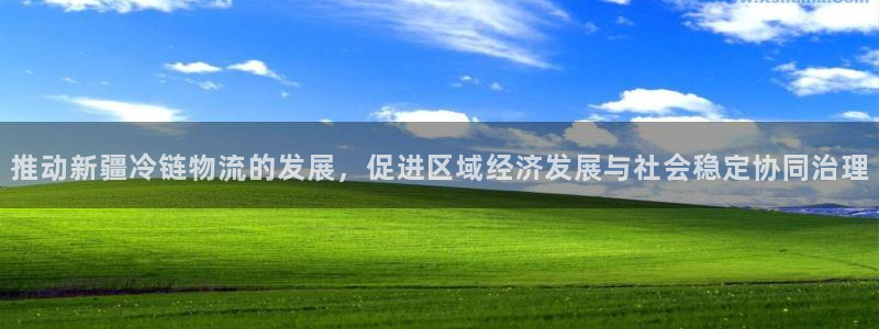 狗子28连接：推动新疆冷链物流的发展，促进区域经济发展与社会