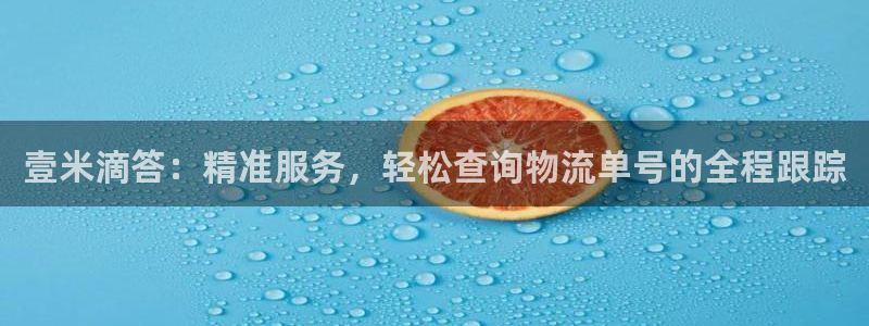 狗子28官方版网站