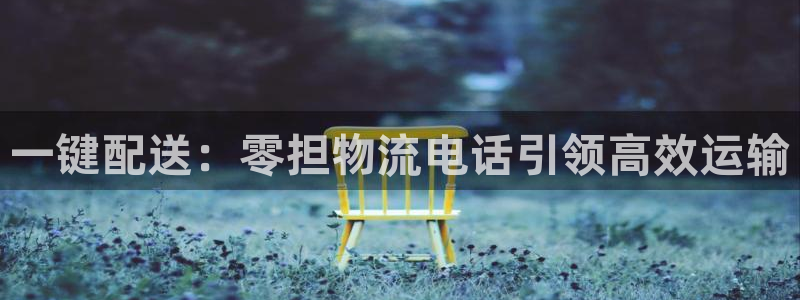 狗子28分分28输了能不能退