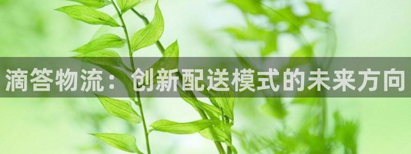 狗子28官网入口南宫：滴答物流：创新