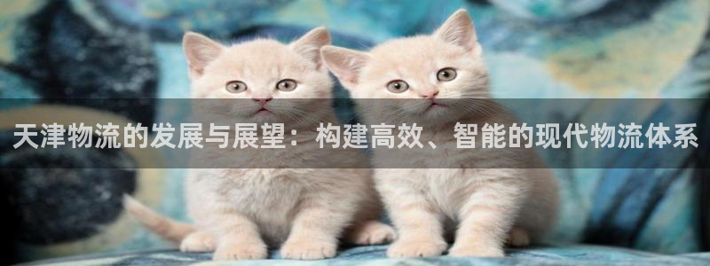 狗子28官网平台：天津物流的发展与展望：构建高效、智能的现代