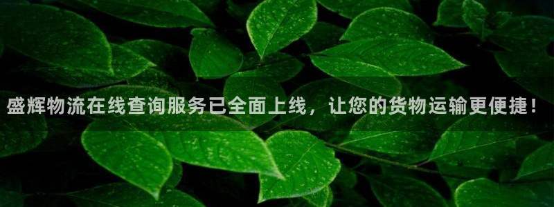 狗子28加拿大是什么意思：盛辉物流在