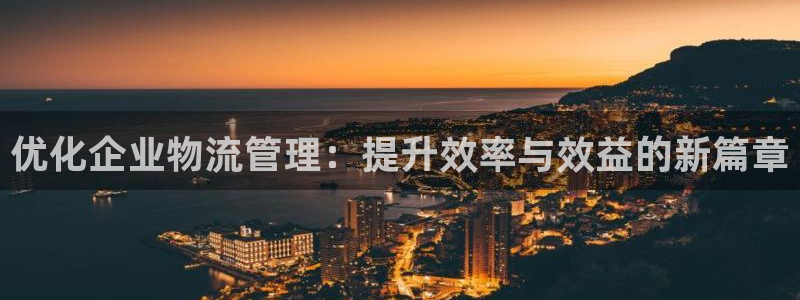 狗子28推广链接是多少：优化企业物流