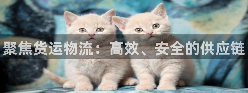 狗子28推广链接是多少钱一个：聚焦货