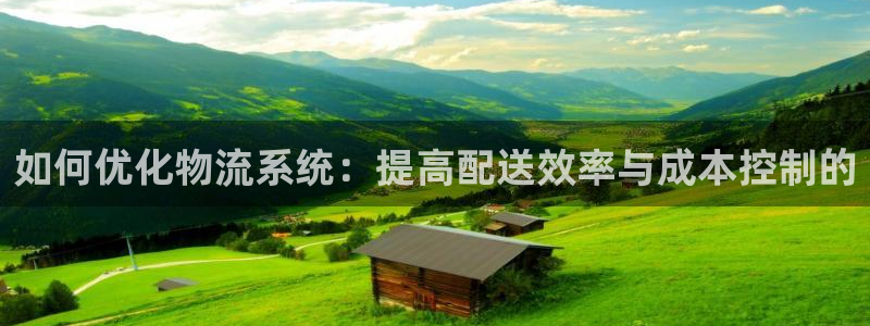 狗子28合法吗：如何优化物流系统：提