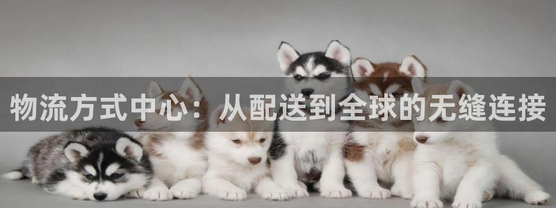 狗子28黑款：物流方式中心：从配送到全球的无缝连接