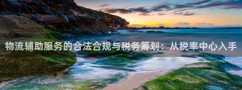 狗子28cn：物流辅助服务的合法合规