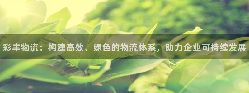狗子28注册登录链接：彩丰物流：构建