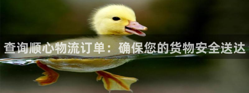 狗子28娱乐官网网页入口