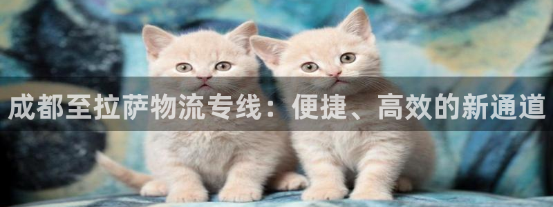 狗子28如何看计划：成都至拉萨物流专