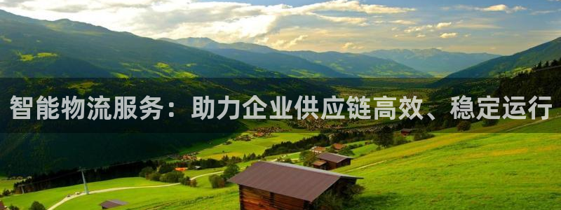 狗子28怎么下载不了:智能物流服务: