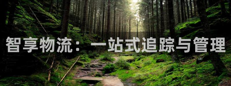 狗子28注册链接入口:智享物流:一站