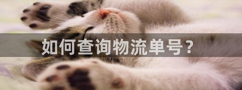 南宫狗子28怎么注册：如何查询物流单