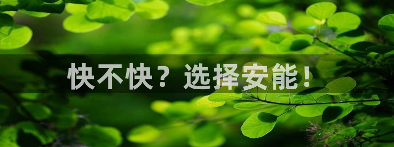 狗子28下载二维码怎么弄:快不快?选