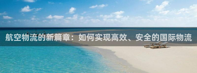 狗子28APP是干什么的:航空物流的