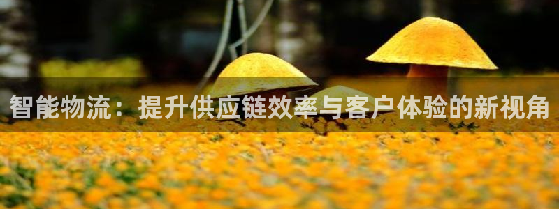 狗子28加拿大走势:智能物流:提升供